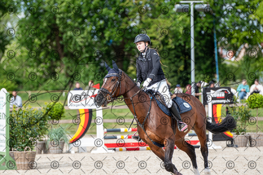 KPT_6584 | andre_photographic