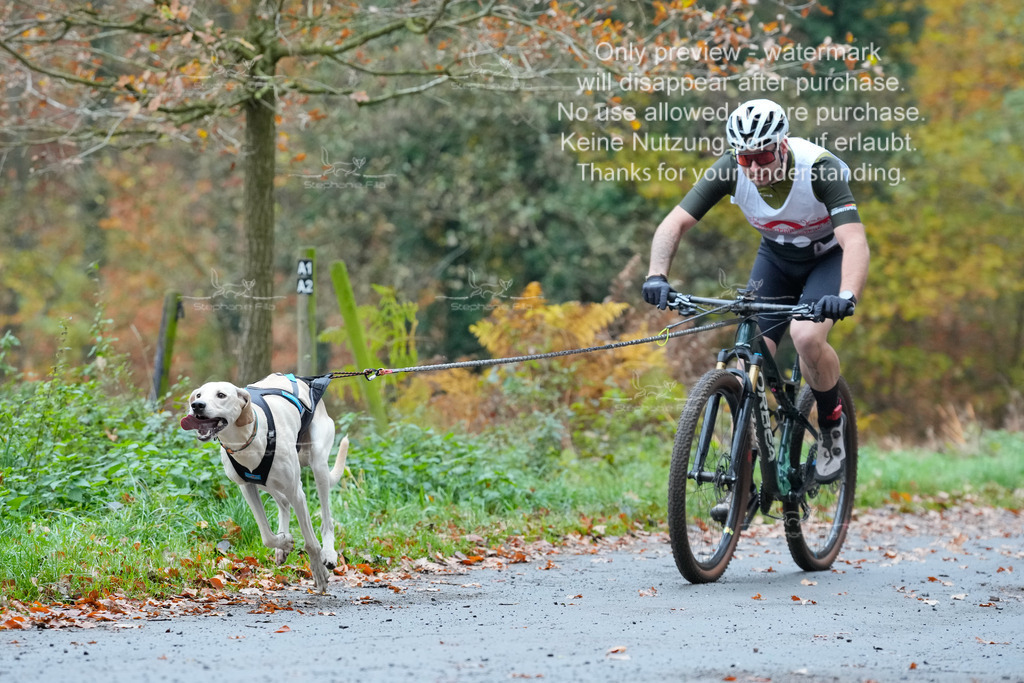 Bike_So-9 | stephaniefillaphotographie - Realisiert mit Pictrs.com