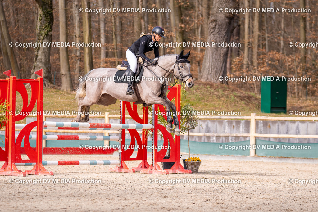 Kranichstein Tag 1-788 | dv-media-shop - Realisiert mit Pictrs.com