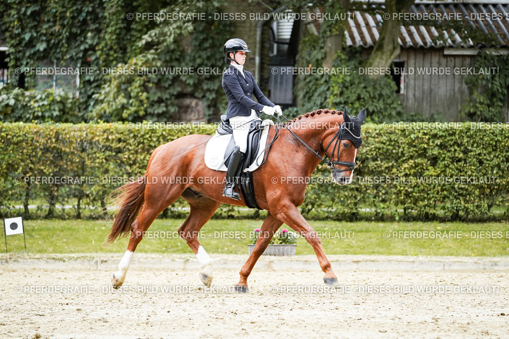 DSC00439 | Pferdegrafie