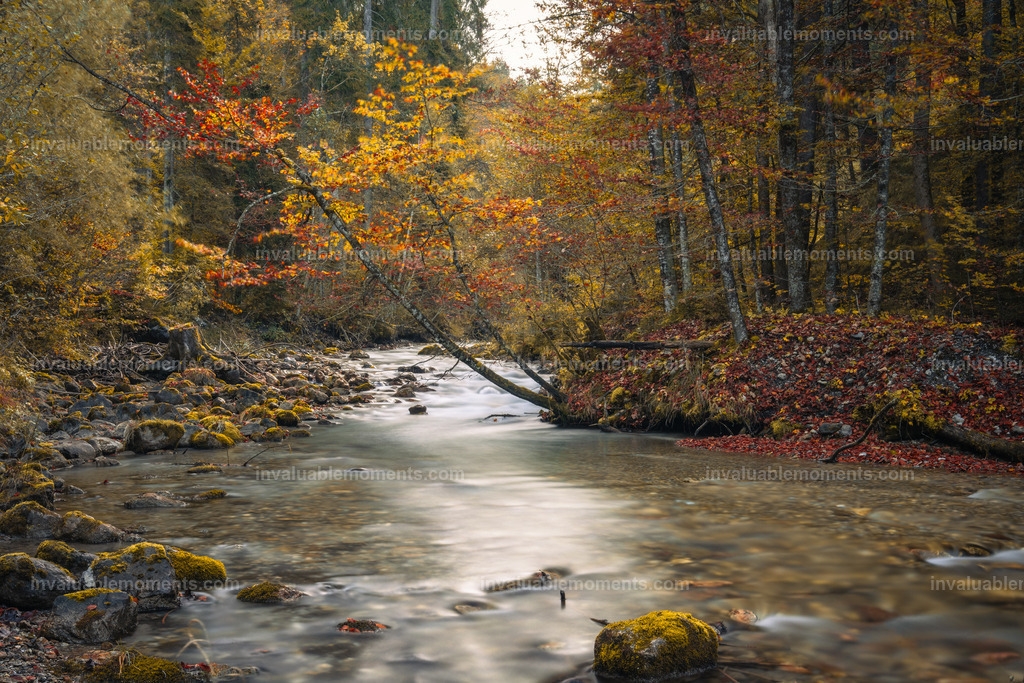 DSC_9850 | invaluablemoments.com - Realisiert mit Pictrs.com