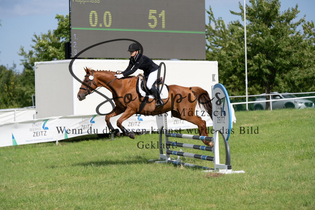 A7V03472 | Pferdefotograf