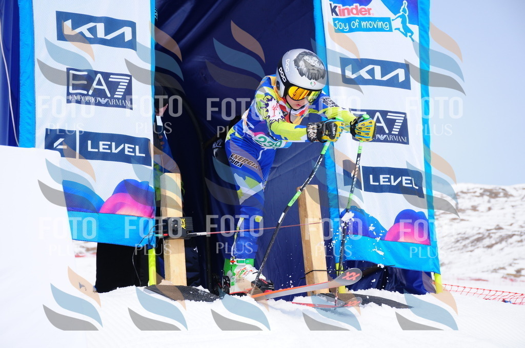 DSC_2227 | holidayphoto