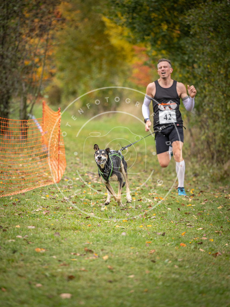 Pfotenfotografie_DV3A2320 | Hundefotografie, Tierfotograf, Pfotenfotografie, Fotoshooting Hund, Hunde Portrait, Hundesport, Hundeportraits, Heideshooting, Hunde, Sportfotograf, Hundefotograf, Turnierhundsport, THS,  - Realisiert mit Pictrs.com