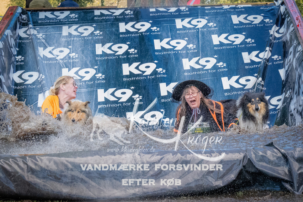 1557_ZZ91554 | kk-dogfotos