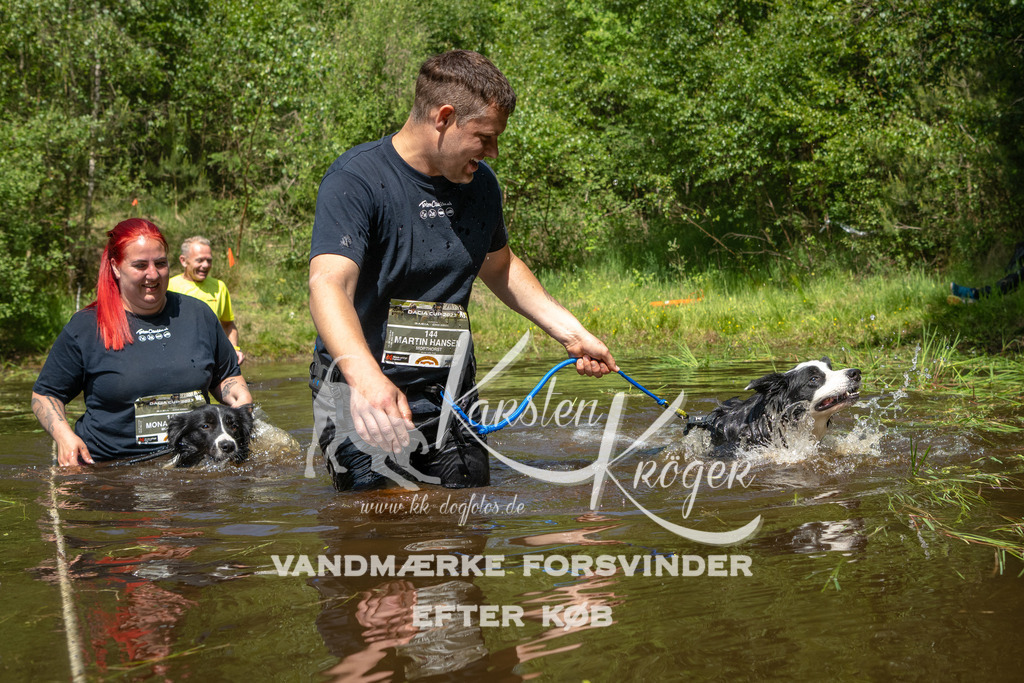 1213DKK992227 | kk-dogfotos