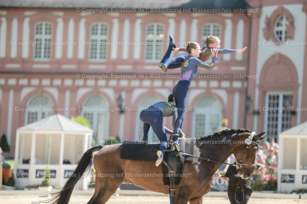20230528_Voltigieren_NASPA_0488 | equistock