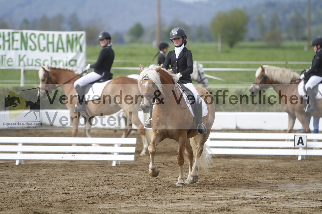 _MG_2597 | equestrian-live-com