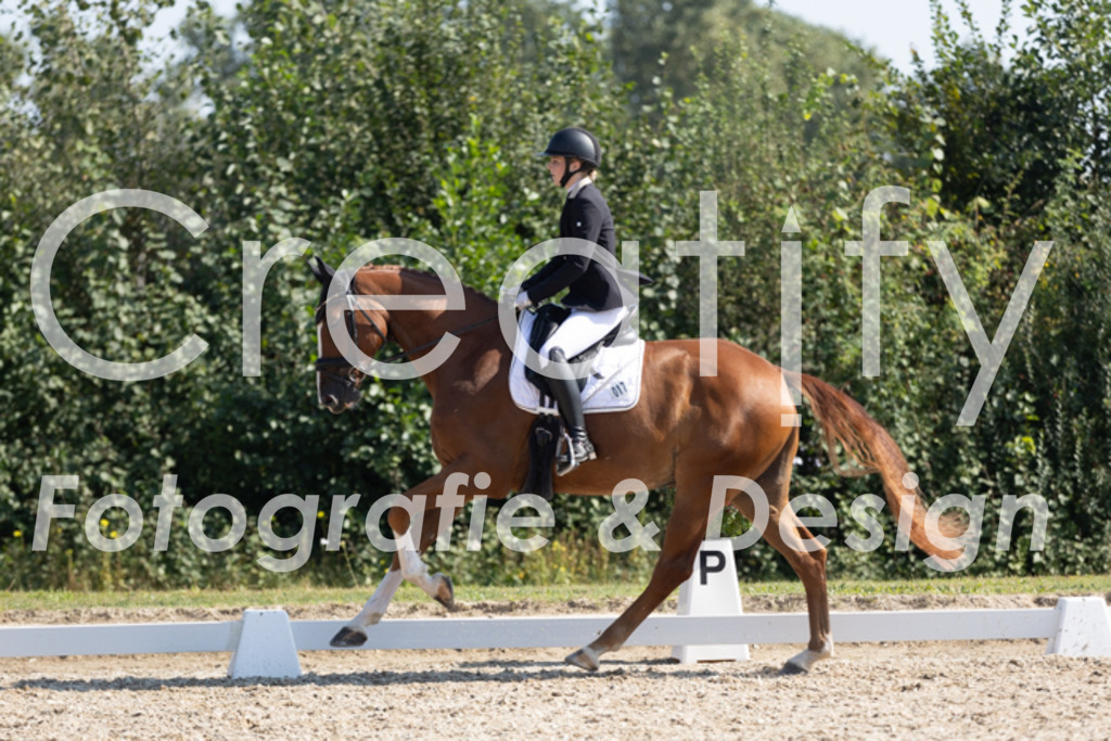 IMG_4415 | Creatify Fotografie