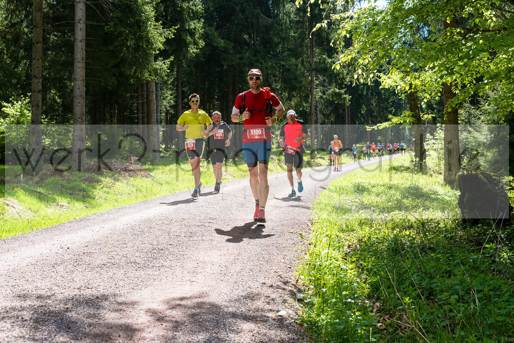 Rennsteiglauf 2019 | Marathon Neuhaus/Rwg. - Schmiedefeld am 18. Mai 2019