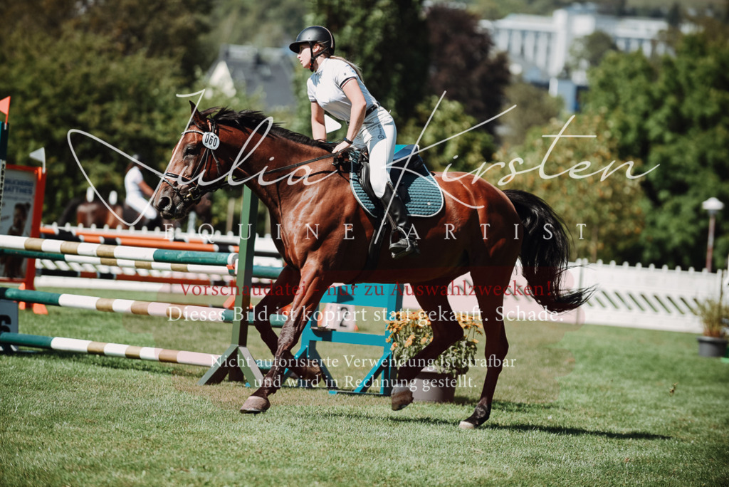 DSC_3087 | Pferde- und Turnierfotografie in Westsachsen. Pferdeportraits, Auftragszeichnungen und intuitive Kunst.