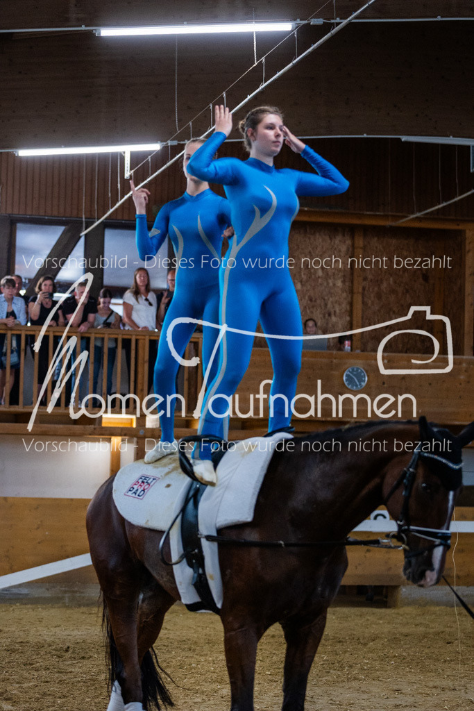 GS-NS-104 | MomenTaufnahmen Pferdesportfotos