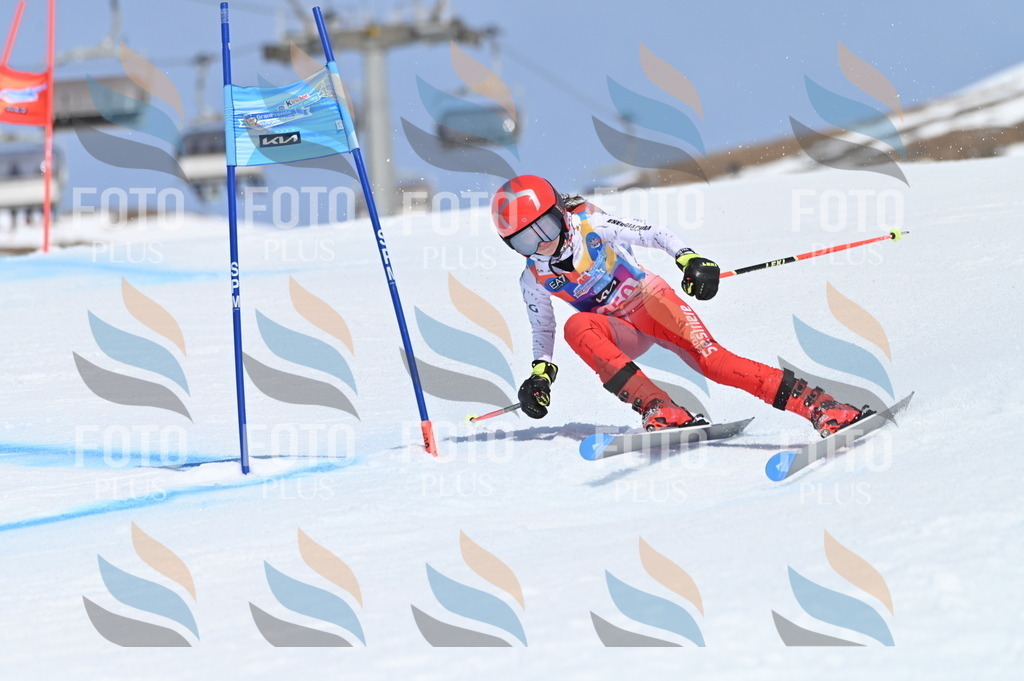 BGV_0048 | holidayphoto