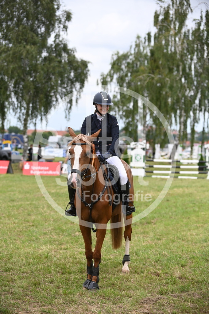 DSC_2017 | sattelsport - Realisiert mit Pictrs.com