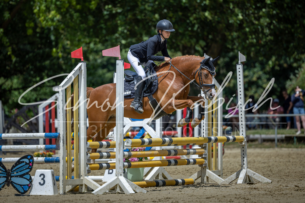 20260704-_3LI9000 | Tierfotografie Pferde, Hunde, Katzen, Haustiere.
Turnierfotografie Reitturniere, Reiten, Springreiten, Dressur in Hanau, dem Main-Kinzig-Kreis und dem Rhein-Main- Gebiet um Frankfurt
