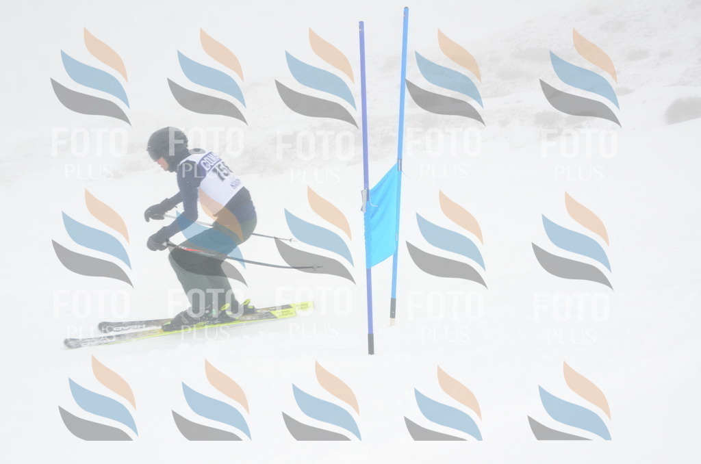 A6053 | holidayphoto