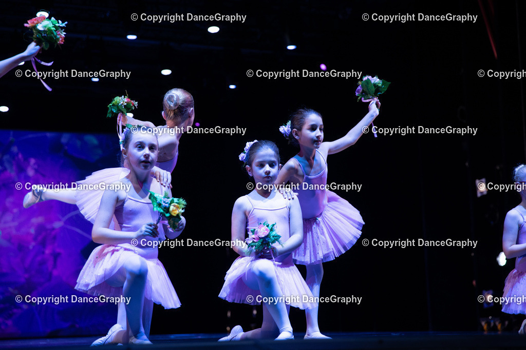 GPHY4872 | DanceGraphy - Realisiert mit Pictrs.com