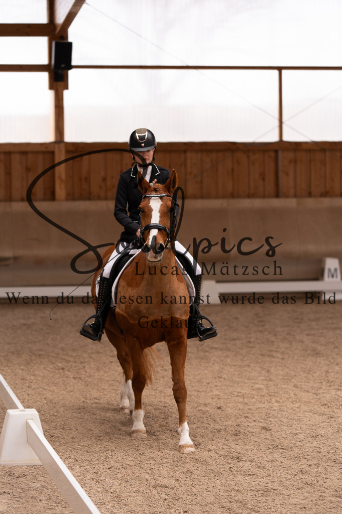 A7506921 | Turnier/Reitfotograf