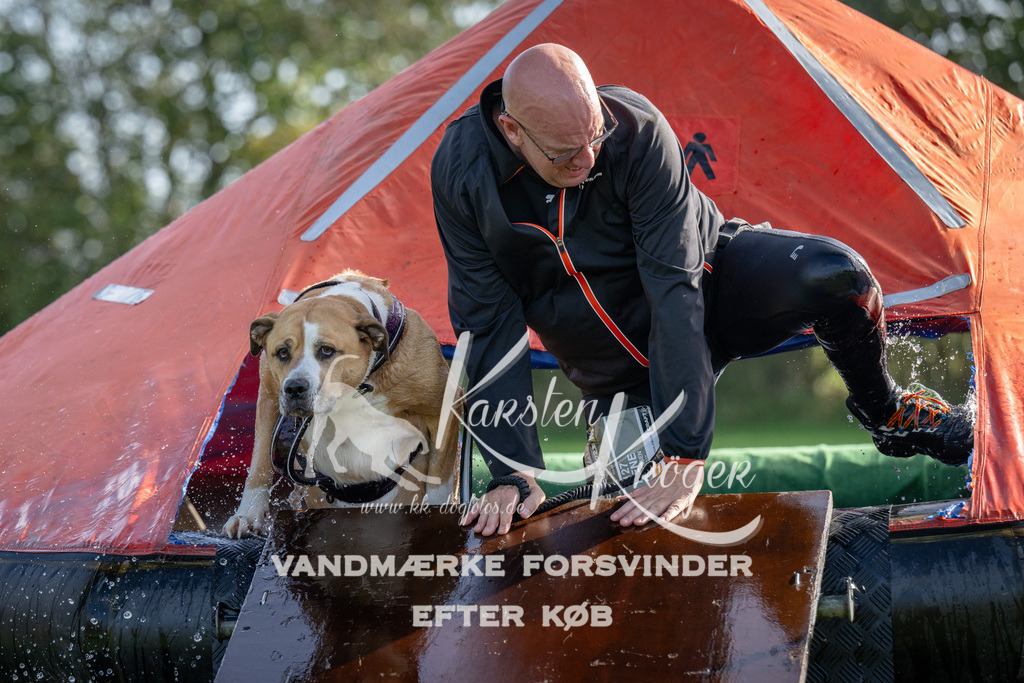 1151-92331 | kk-dogfotos