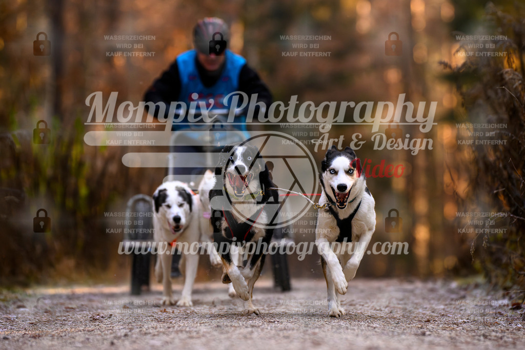 MompixPhotography_DM_AKDM_SO_2025_Wagen-75 | PayLife