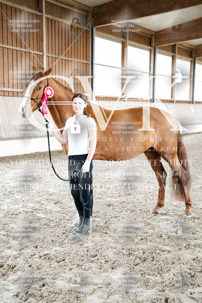 CK703244 | Turnierfotografie Pferdefotografie Trier Rheinland-Pfalz Pferdesport Reitsport Tierfotografie Sportfotografie Pferdevideo Pferdevideografie Equestrianvideography equestrianphotography  - Realized with Pictrs.com