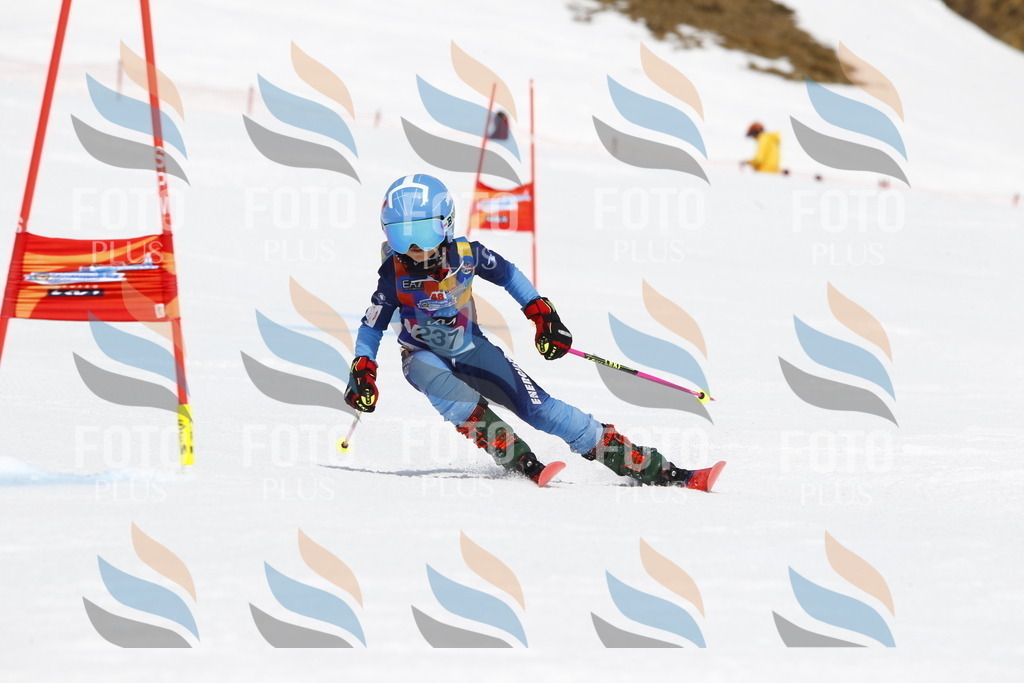 _U3G6036 | holidayphoto