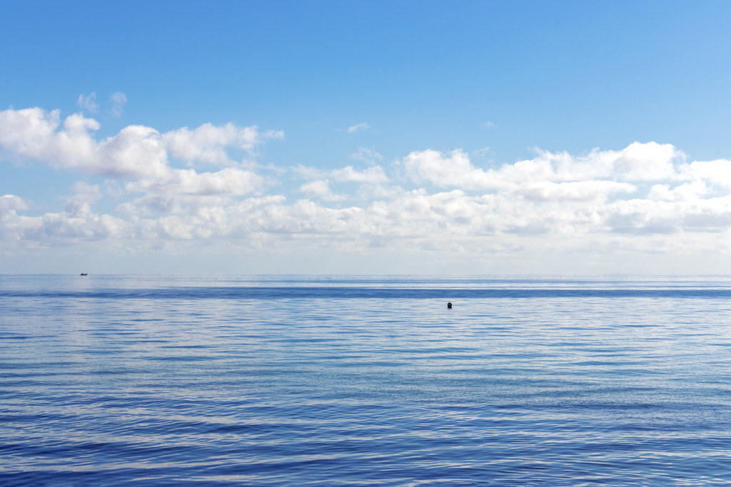 Wandbild: Blick aufs Meer vom Strand in Schönhagen | Dieses beeindruckende Wandbild zeigt die idyllische Ostseeküste in Schönhagen. Das ruhige, blaue Meer im schafft eine harmonische und beruhigende Stimmung, die jeden Raum in eine Oase der Ruhe verwandelt. Das Foto wurde vom Strand in Schönhagen aufgenommen und fängt die natürliche Schönheit dieser bezaubernden Küstenlandschaft perfekt ein.Das Kunstwerk ist in verschiedenen Formaten auf Alu, Leinwand, Acrylglas, FineArt-Papier und als Akustikbild erhältlich, sodass es perfekt in jeden Einrichtungsstil und Raum passt. - Realisiert mit Pictrs.com