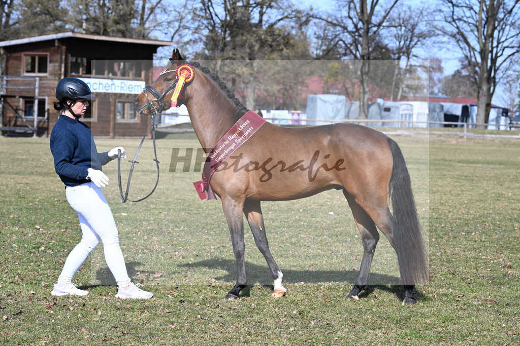 Kat-Nr. 6 Zamperl v. Zeus_Dobner_9260355 | hf-fotografie - Realisiert mit Pictrs.com