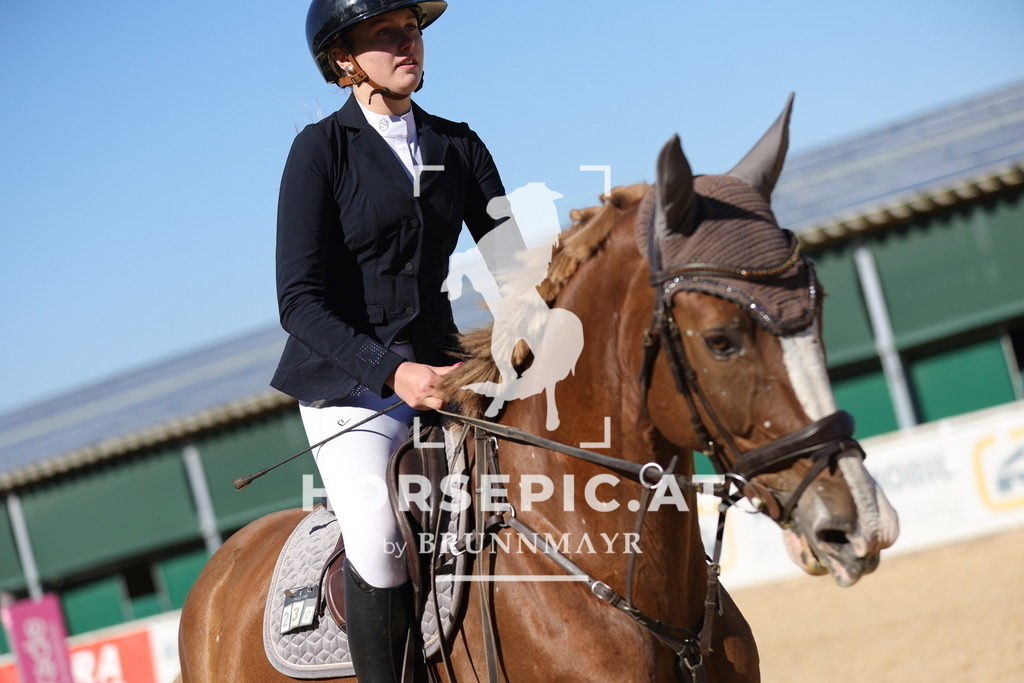 0P6A0327 | Willkommen bei Brunnmayr - Design & Fotografie – Ihrem Spezialisten für Reitturniere und Pferdeveranstaltungen in Oberösterreich, Salzburg und Bayern! Seit über 17 Jahren sind wir leidenschaftlich dabei.