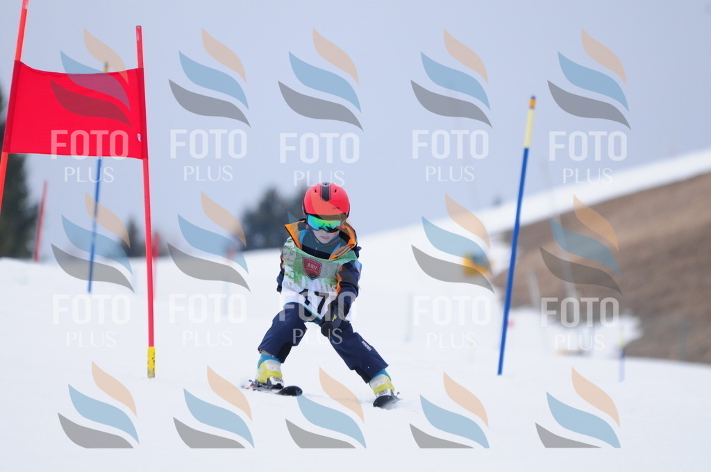 A3381 | holidayphoto