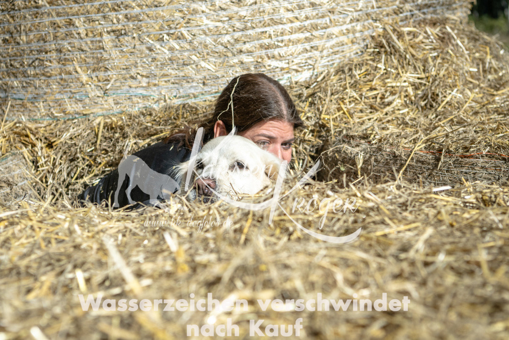 1207_ZZ90364-2 | kk-dogfotos