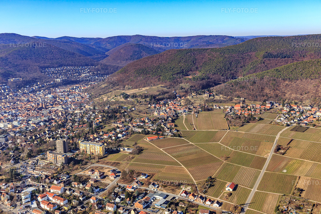 Luftbild: Weingartenweg aus Nordwesten in Neustadt an der Weinstraße im Bundesland Rheinland-Pfalz in Deutschland. Foto: IMG_112768.jpg vom 27.02.2019 durch Werner Riehm/FLY-FOTO.de