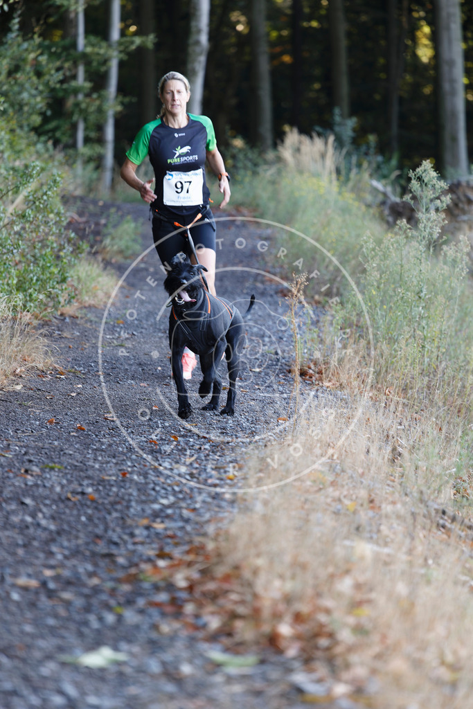 0L8A2237 | Hundefotografie, Tierfotograf, Pfotenfotografie, Fotoshooting Hund, Hunde Portrait, Hundesport, Hundeportraits, Heideshooting, Hunde, Sportfotograf, Hundefotograf, Turnierhundsport, THS,  - Realisiert mit Pictrs.com