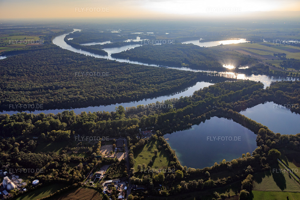 Luftbild: Naturschutzgebiet Ketscher Rheininsel und Altrhein in Ketsch im Bundesland Baden-Württemberg in Deutschland.Foto: IMG_073043.jpg vom 23.09.2014 durch Werner Riehm/FLY-FOTO.deAuflösung des Originals: 5472 x 3648 px