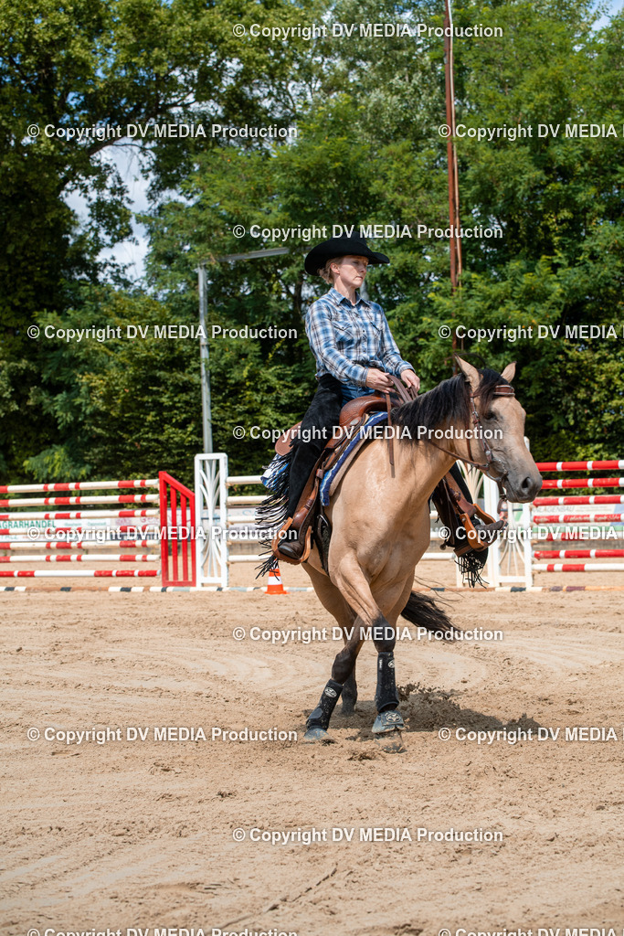 ZS3_9609 | dv-media-shop - Realisiert mit Pictrs.com