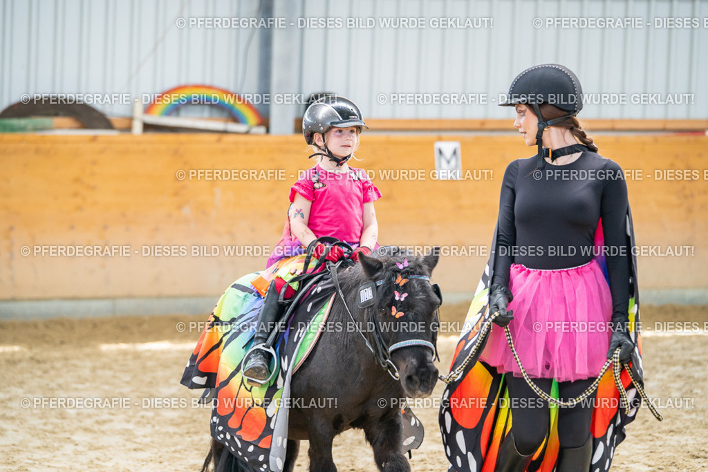 DSC00453 | Pferdegrafie