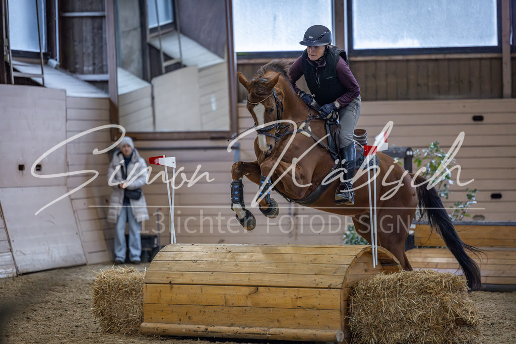 20260221-_3LI8789 | Tierfotografie Pferde, Hunde, Katzen, Haustiere.
Turnierfotografie Reitturniere, Reiten, Springreiten, Dressur in Hanau, dem Main-Kinzig-Kreis und dem Rhein-Main- Gebiet um Frankfurt