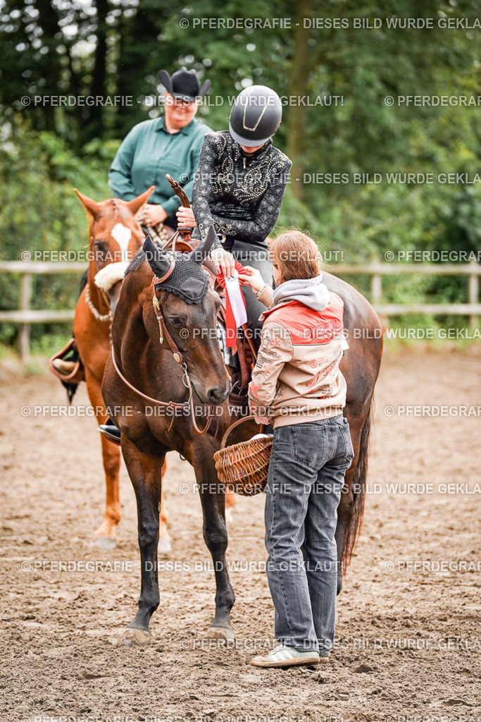 DSC04839 | Pferdegrafie