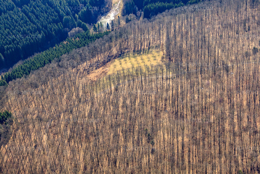 Aerial view: Forest at Schinkelsdell in Enchenberg in the state Moselle, France. – Photo: IMG_38473.jpg taken on 03/20/2011 by Werner Riehm/FLY-FOTO.com – Resolution of the original: 4752 x 3168 px