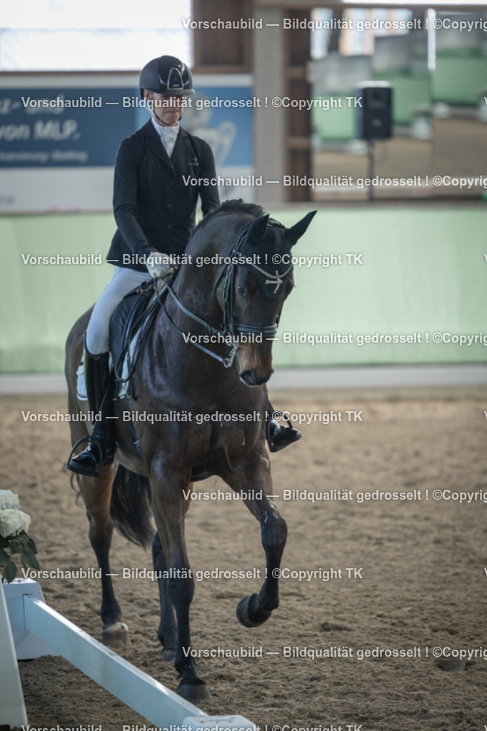 _D5A4486 | Emotionale Pferde- & People-Fotografie rund um Heidelberg, Leimen & Umgebung. Natürliche Fotos von Pferd, Mensch & Familie. Jetzt Termin sichern!