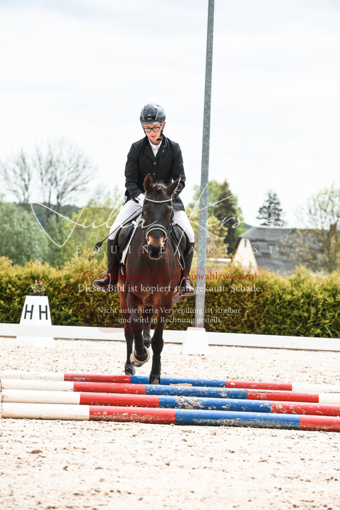 20230518_JK-Röhrsdorf-10-605 | Pferde- und Turnierfotografie in Westsachsen. Pferdeportraits, Auftragszeichnungen und intuitive Kunst.