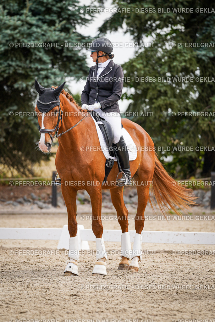 DSC02314 | Pferdegrafie