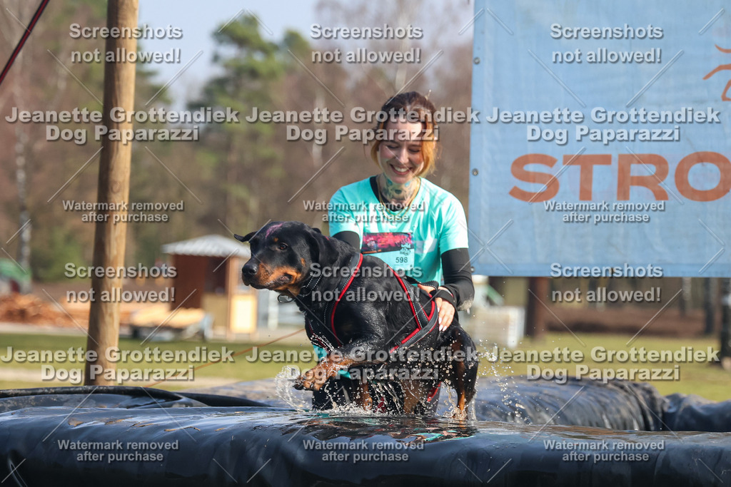 Dog Paparazzi - Strongdog North Mrz26-1848 | Dog Paparazzi Jeanette Grottendiek Fotografie & Videografie - Realisiert mit Pictrs.com