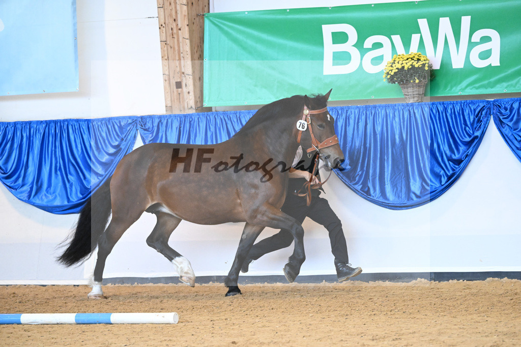 Kat-Nr. 76 Pipa_Gasteiger_53220365 | hf-fotografie - Realisiert mit Pictrs.com