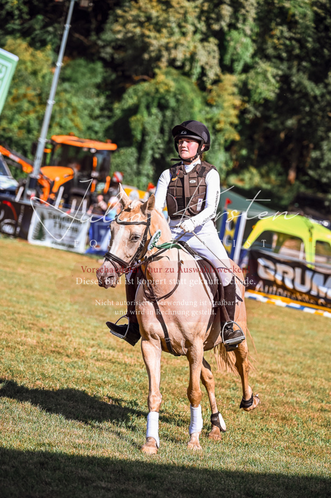DSC_1201 | Pferde- und Turnierfotografie in Westsachsen. Pferdeportraits, Auftragszeichnungen und intuitive Kunst.