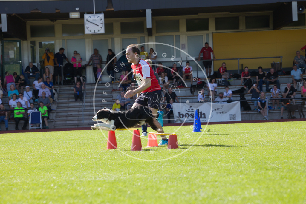 0L8A8397 | Hundefotografie, Tierfotograf, Pfotenfotografie, Fotoshooting Hund, Hunde Portrait, Hundesport, Hundeportraits, Heideshooting, Hunde, Sportfotograf, Hundefotograf, Turnierhundsport, THS,  - Realisiert mit Pictrs.com