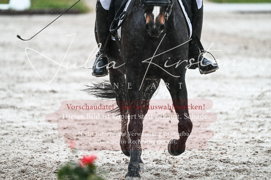 DSC_4652 | Pferde- und Turnierfotografie in Westsachsen. Pferdeportraits, Auftragszeichnungen und intuitive Kunst.
