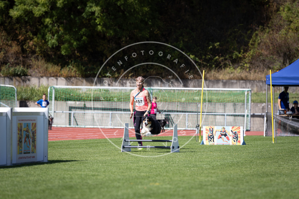 Pfotenfotografie_DV3A9540 | Hundefotografie, Tierfotograf, Pfotenfotografie, Fotoshooting Hund, Hunde Portrait, Hundesport, Hundeportraits, Heideshooting, Hunde, Sportfotograf, Hundefotograf, Turnierhundsport, THS,  - Realisiert mit Pictrs.com