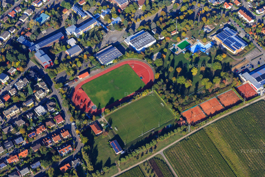 Luftbild: Sportplätze der SpVgg 1920 Bad Bergzabern e.V. am Rebmeerbad Bad Bergzabern in Bad Bergzabern im Bundesland Rheinland-Pfalz in Deutschland.Foto: IMG_095292.jpg vom 16.10.2016 durch Werner Riehm/FLY-FOTO.deWWW.SPVGG-BZA.DELequaro - VG Bad Bergzabern