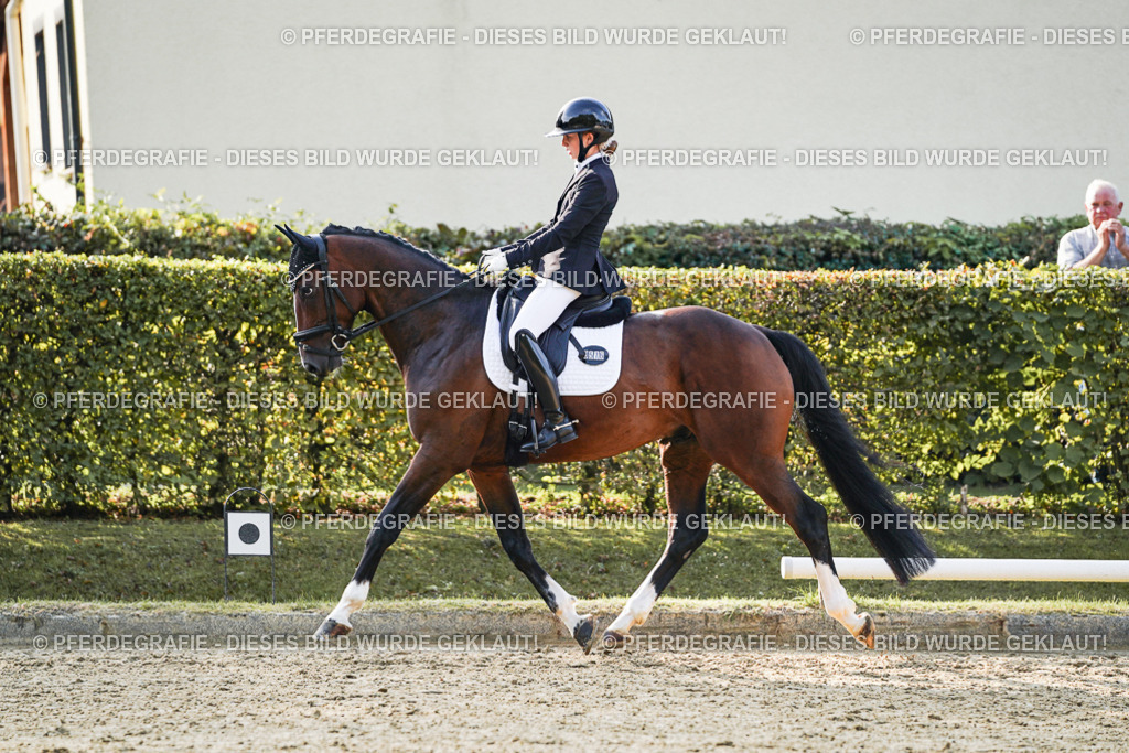 DSC05026 | Pferdegrafie